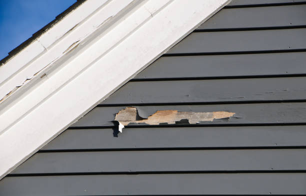 Best Property Management Cleanouts  in Wareham Center, MA